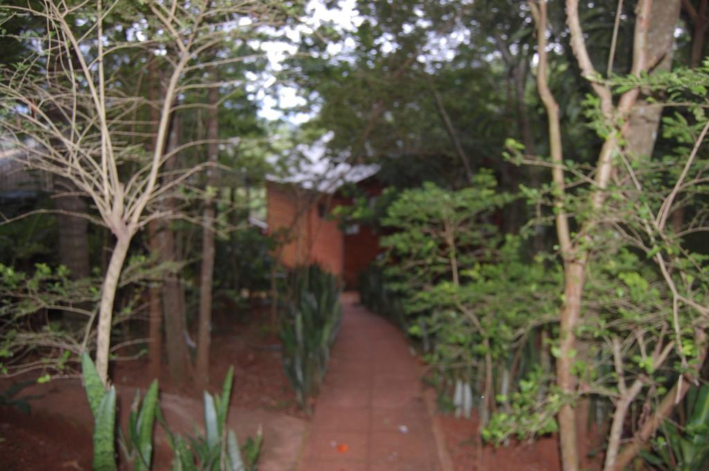 Panambi Lodge B&B Puerto Iguazú Esterno foto