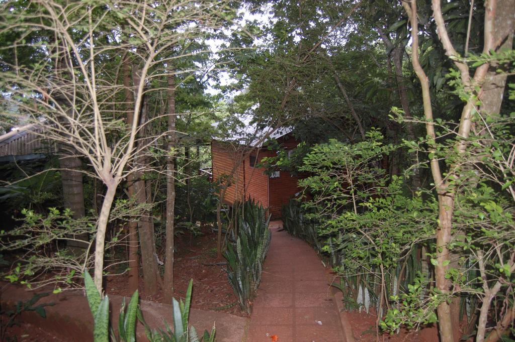 Panambi Lodge B&B Puerto Iguazú Esterno foto