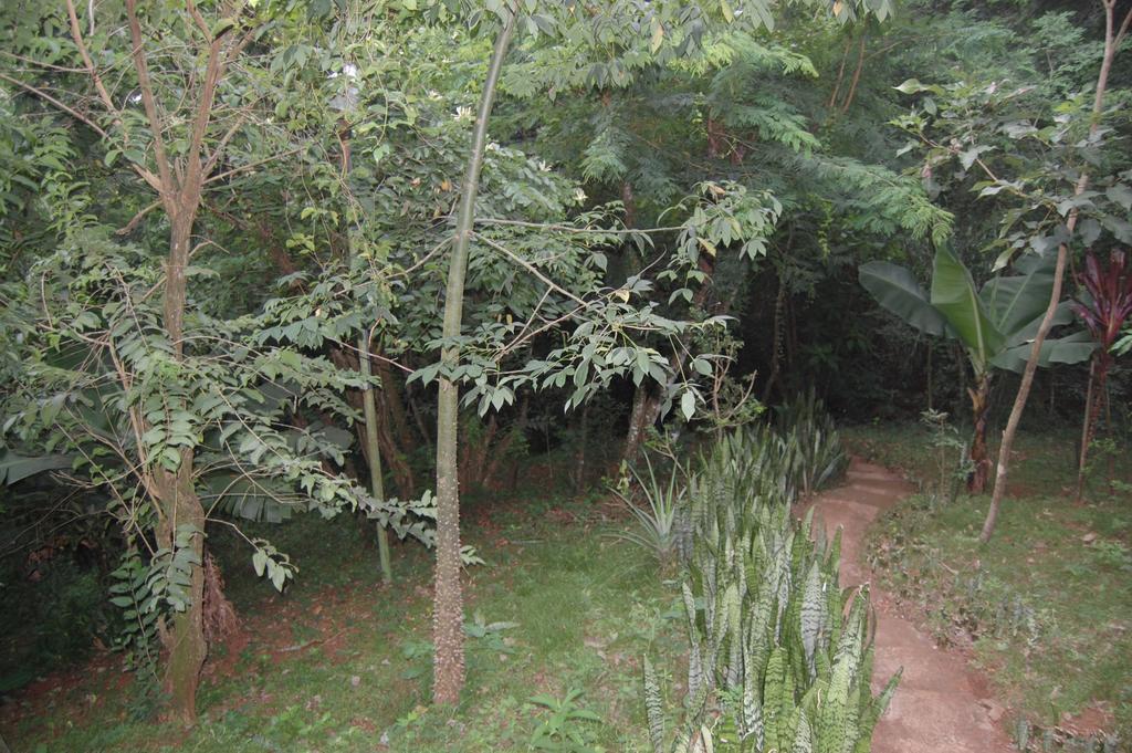 Panambi Lodge B&B Puerto Iguazú Esterno foto