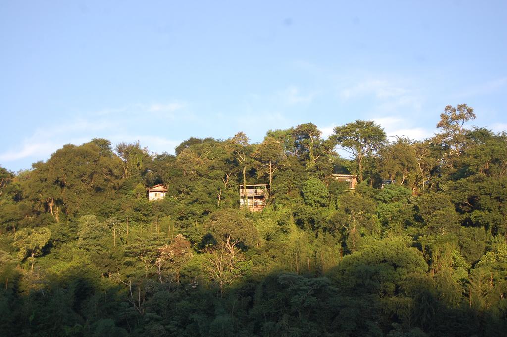 Panambi Lodge B&B Puerto Iguazú Esterno foto