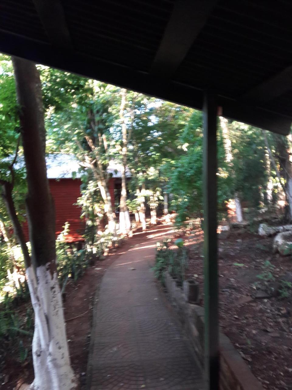 Panambi Lodge B&B Puerto Iguazú Esterno foto